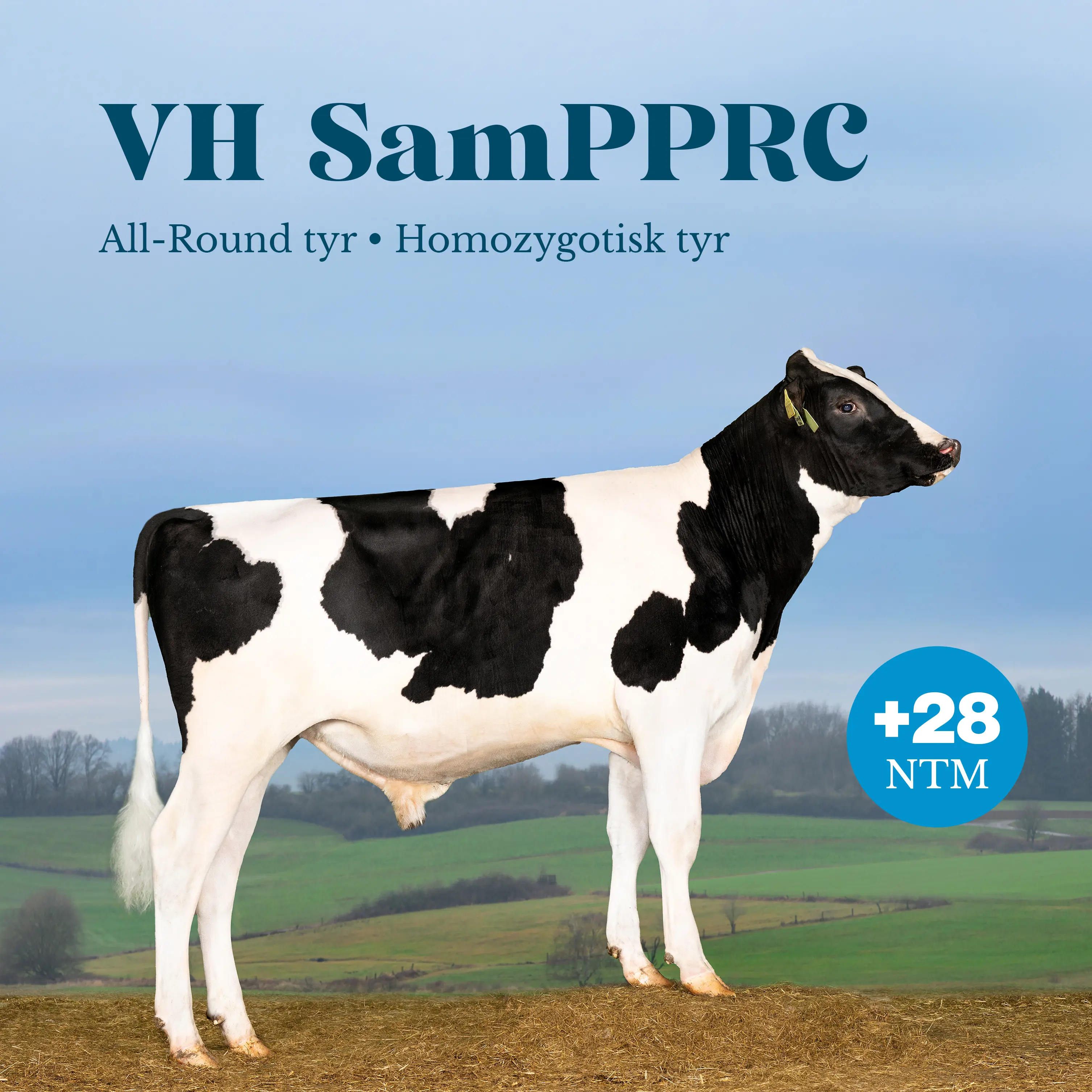 VH Sampprc +28 NTM