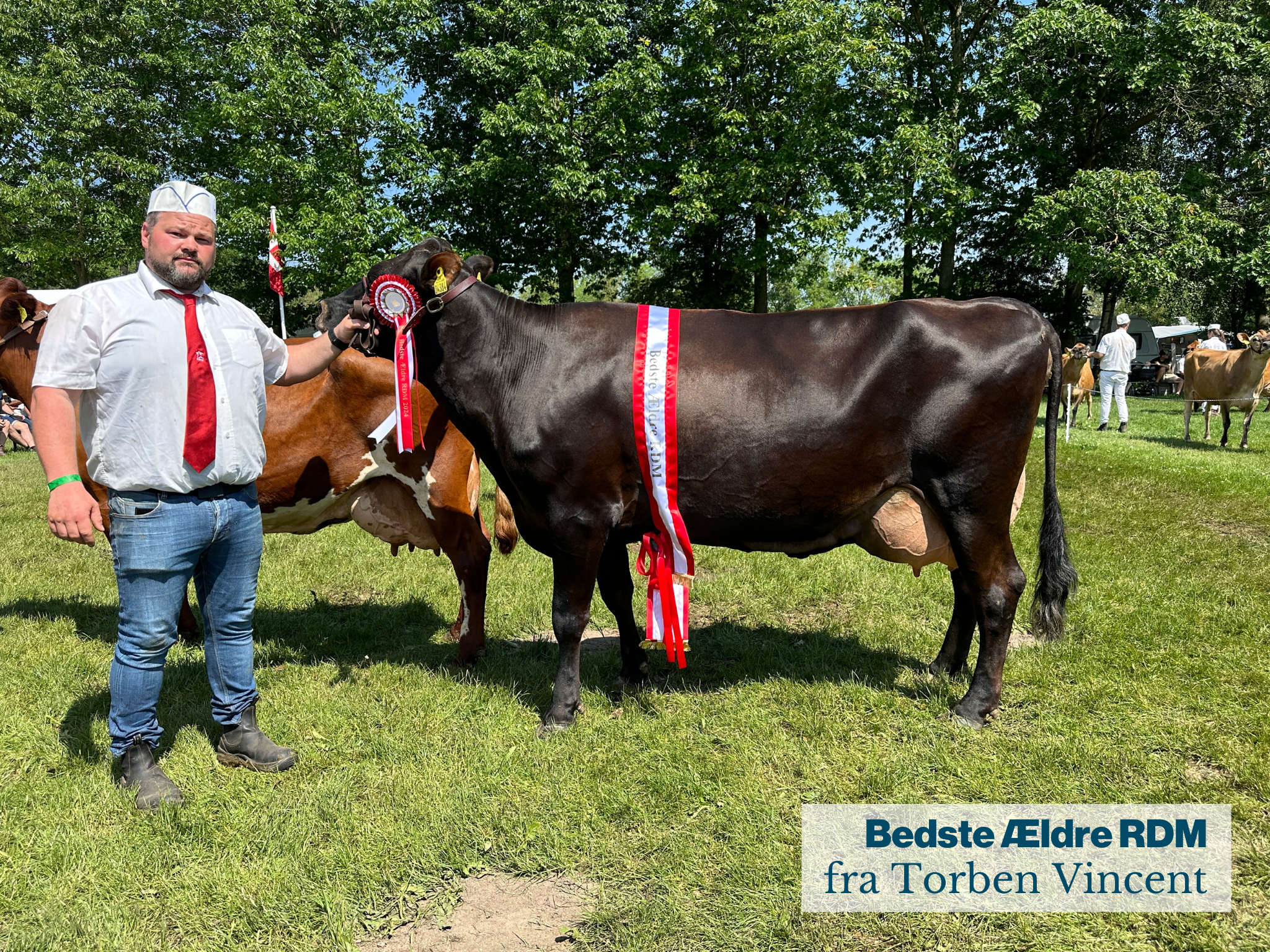 Bedste Ældre RDM Fra Torben Vincent .JPG