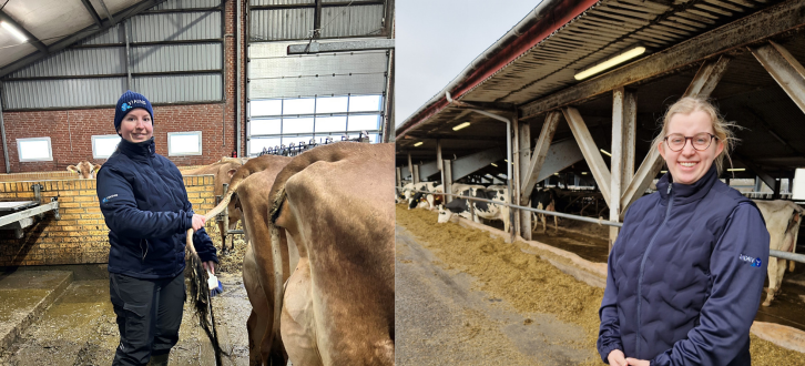 Praktikanter I Avlsrådgivningen