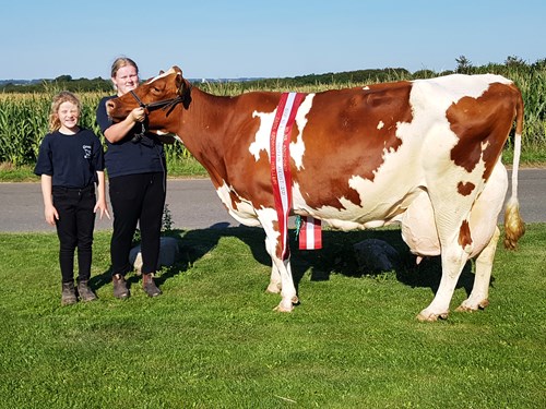 Jeruts Mor Palle 4 Til Hjemmeside