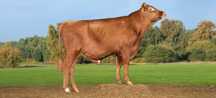 VR Exter I Naturlige Omgivelser