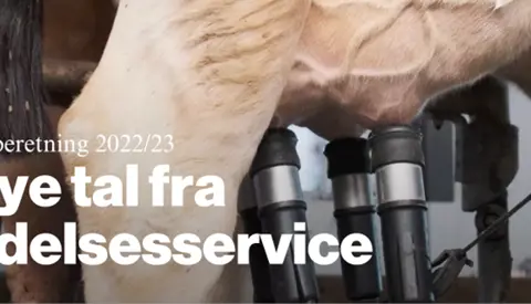 Nye Tal Fra Ydelsesservice