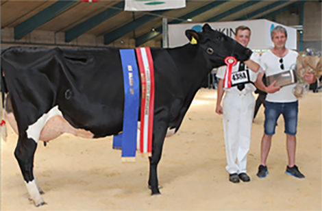 Article Entry Tyr 7A (1)