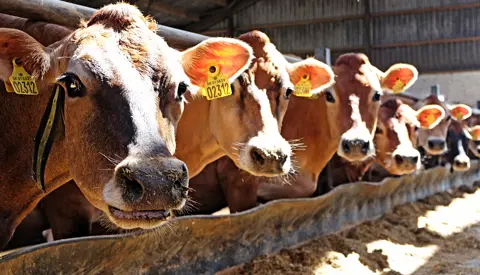 Handelsbetingelser Dscf4474 Srgb Web