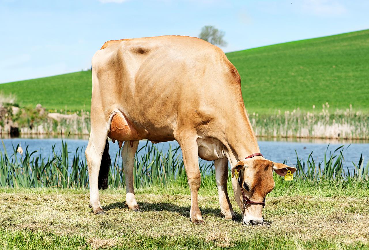 Vj Libero Daughter No 26341 1773 From Jo Rn Mikkelsen So Ften Scenic2 Big Vn Srgb Web