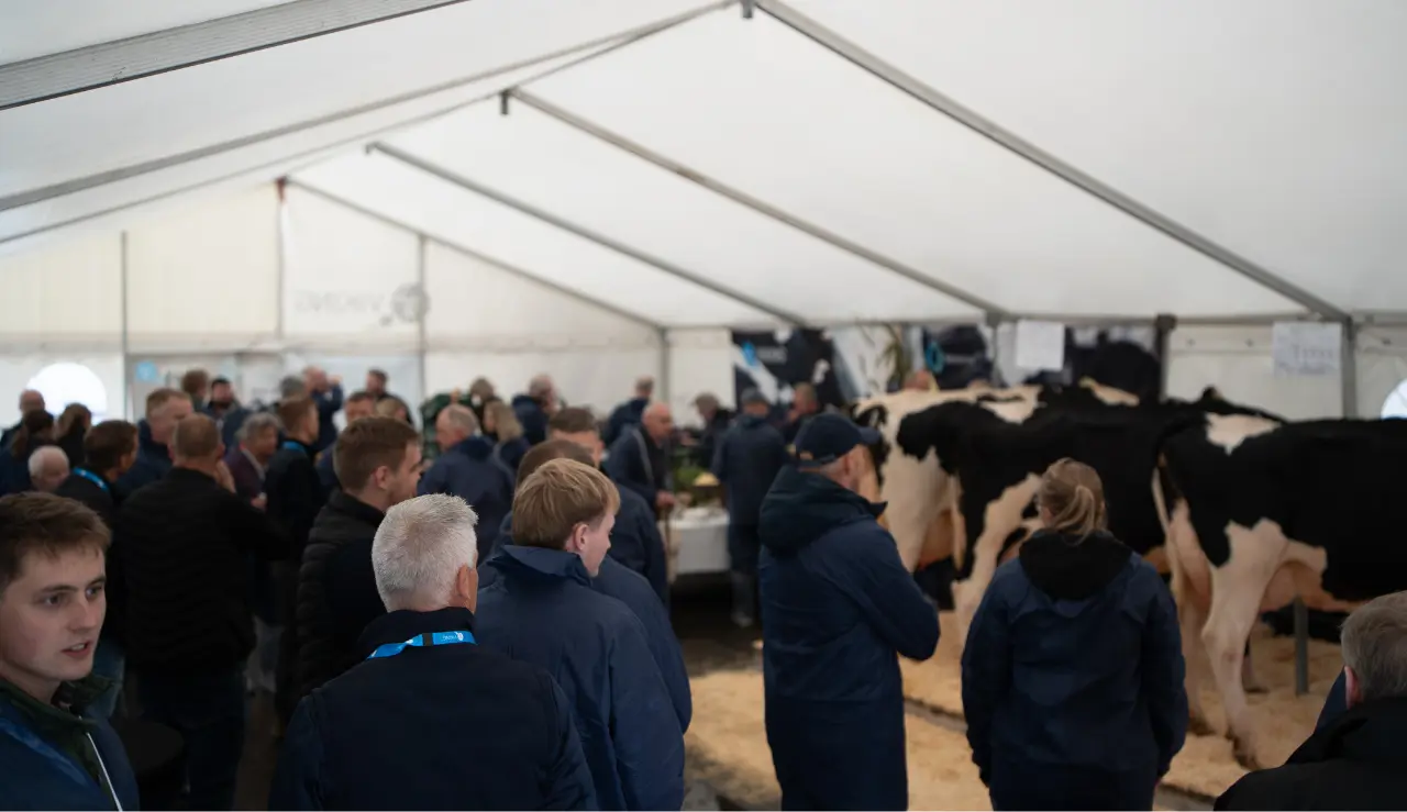 Stemning Fra Vikingdanmark Teltet Ved Årsmødet