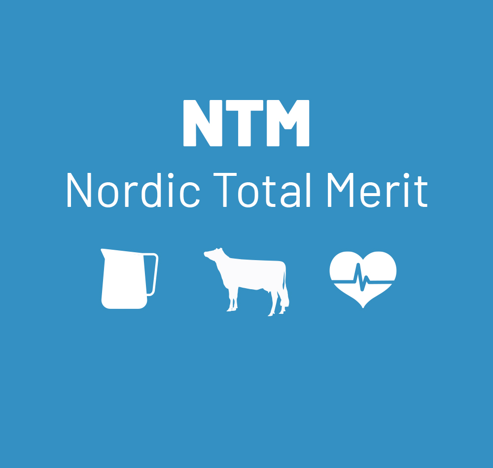 NTM 1000X950 Blue (1)