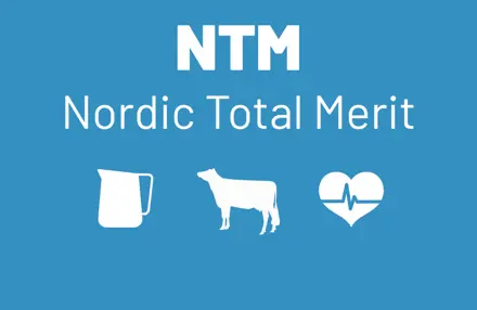 NTM 1000X950 Blue (1)